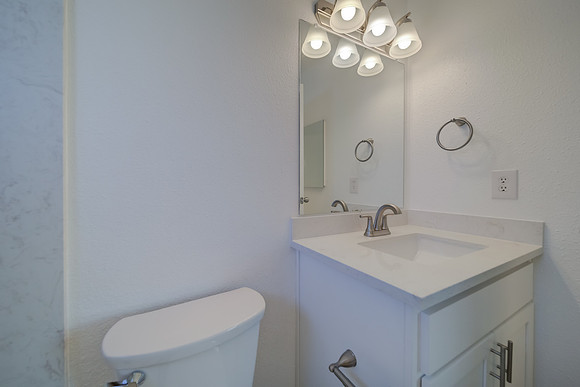 313 Lily Street_47