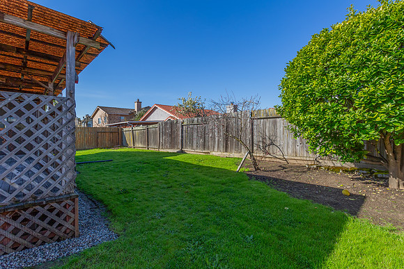 239 Catalina Way_10