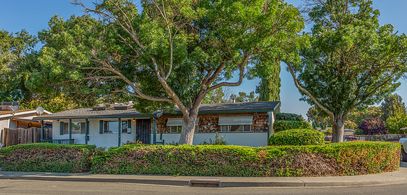 490 Pear Tree Lane_103