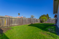 239 Catalina Way_08