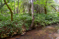 14652 Stinson Drive_09