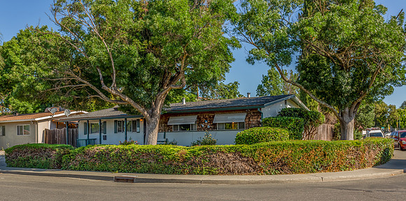 490 Pear Tree Lane_104