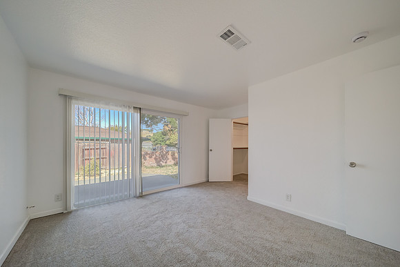 313 Lily Street_43