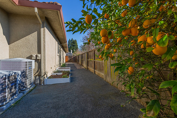 5229 Springridge Way_107