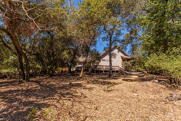 4589 McCready Court_22