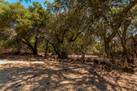 4589 McCready Court_09