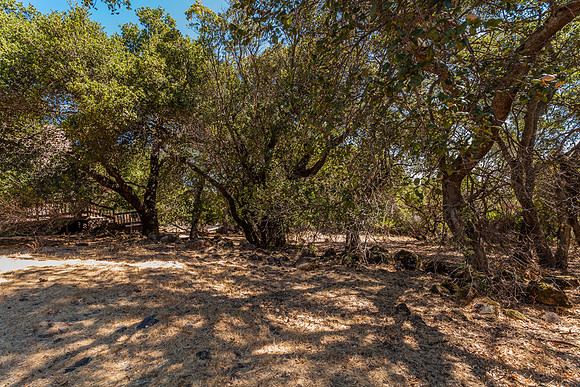 4589 McCready Court_09