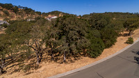 743 Bridle Ridge_14