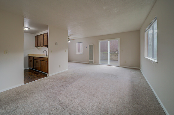 47 Parrott St_13