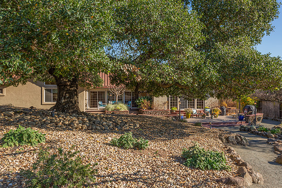 5229 Springridge Way_14