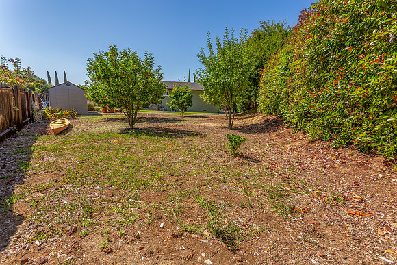 2958 Calaveras Dr_113