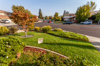 1001 Shire Ct_14