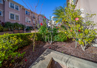 1117 Sonata Drive_06