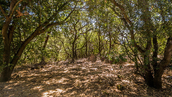 4589 McCready Court_79