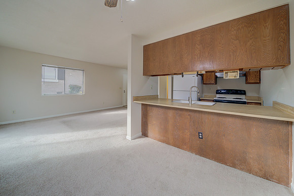 47 Parrott St_19