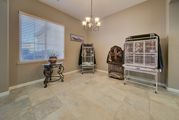 920 Antiquity Dr_136