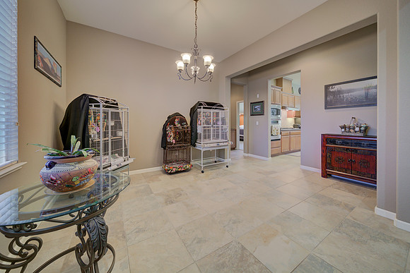 920 Antiquity Dr_135