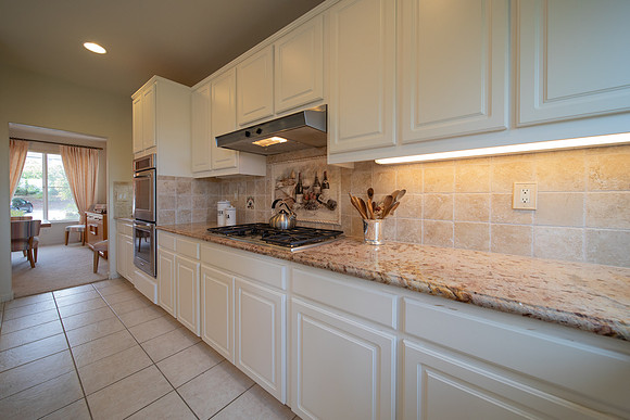 3255 Torry Pines Drive_18