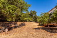 4589 McCready Court_06