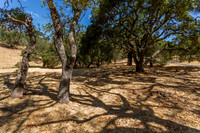 743 Bridle Ridge_06
