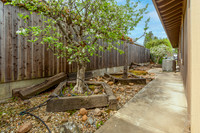 196 Auburn Way_11