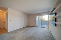237 Lighthouse Dr-B_04