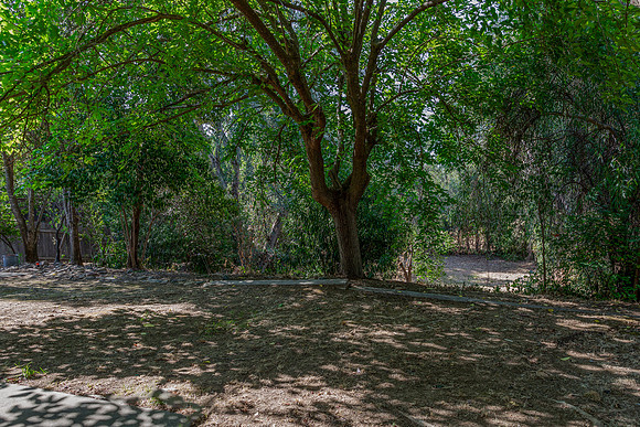 910 Southdown Court_07