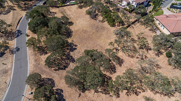 743 Bridle Ridge_119