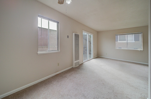 47 Parrott St_20