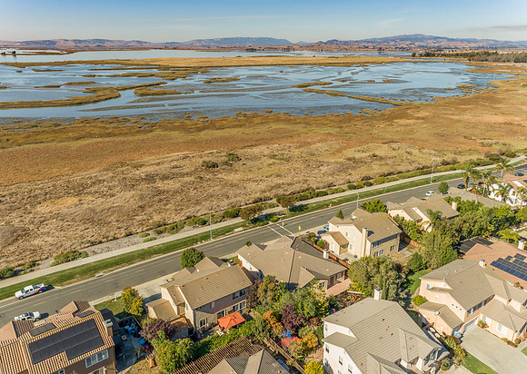 236 Wetlands Edge Rd_57