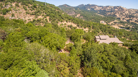 4589 McCready Court_67