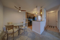 237 Lighthouse Drive_19