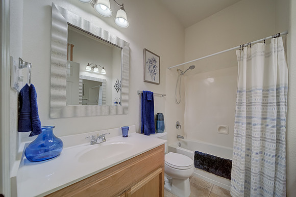 2205 Misty Hollow Dr_133