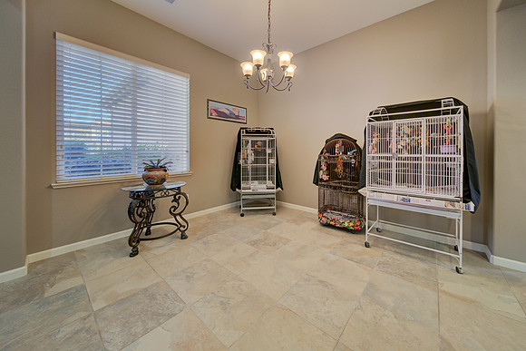 920 Antiquity Dr_36