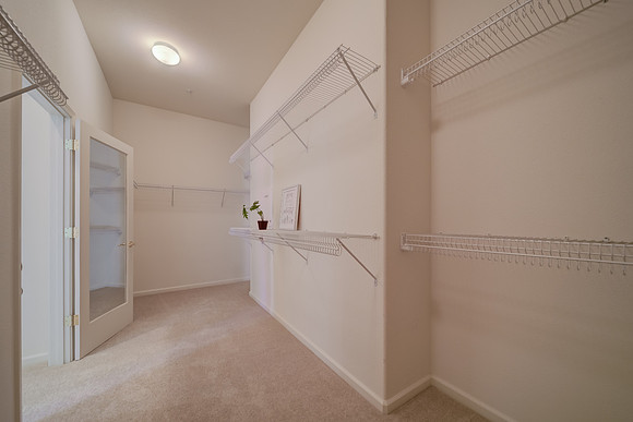 236 Wetlands Edge Rd_21