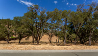 743 Bridle Ridge_05