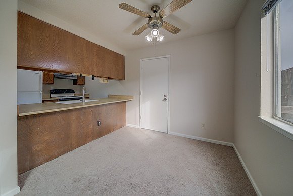 47 Parrott St_18