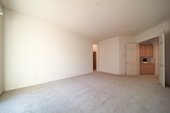 236 Wetlands Edge Rd_20